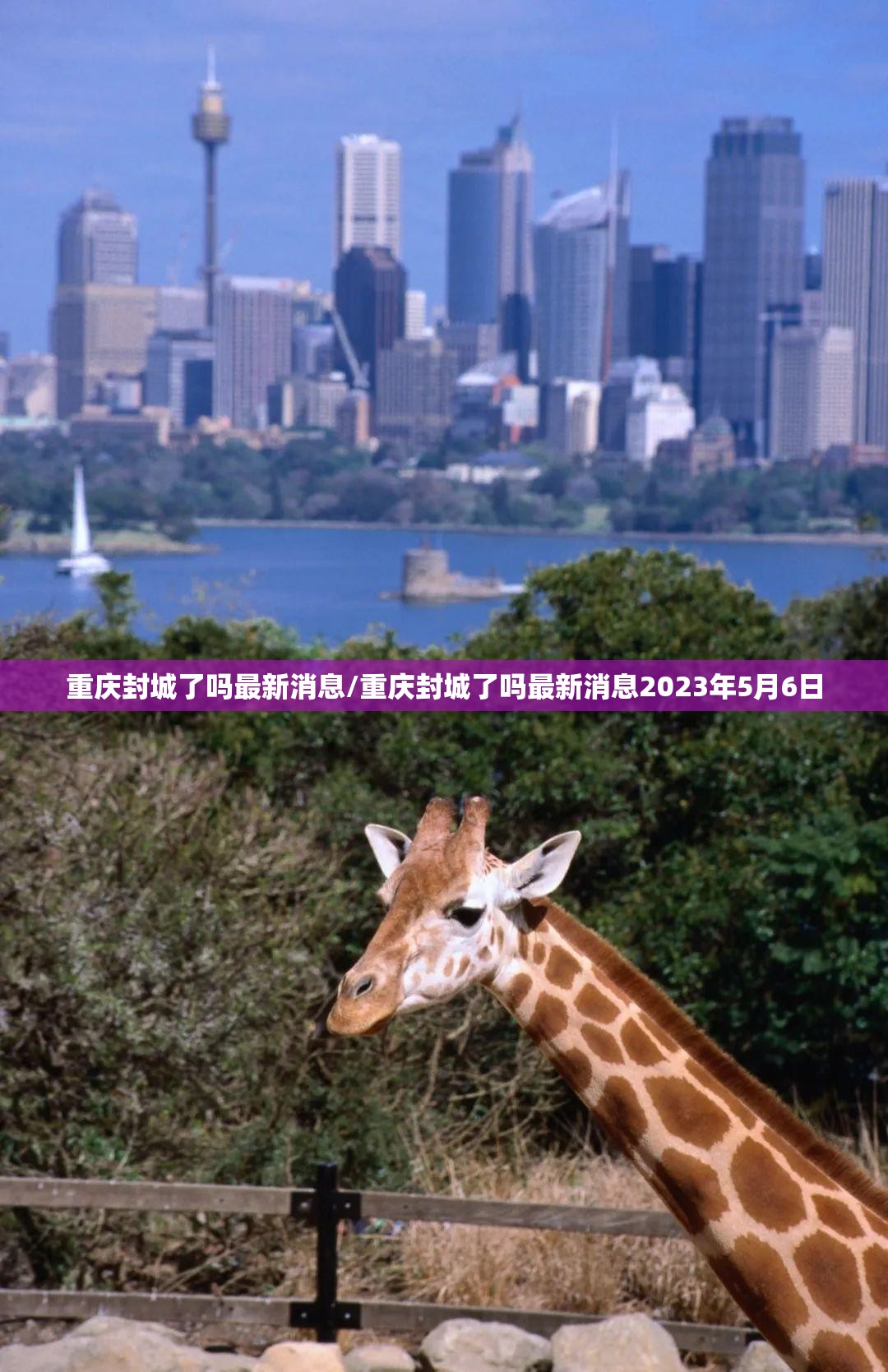 重庆封城了吗最新消息/重庆封城了吗最新消息2023年5月6日