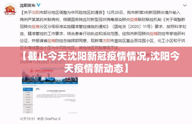 【截止今天沈阳新冠疫情情况,沈阳今天疫情新动态】