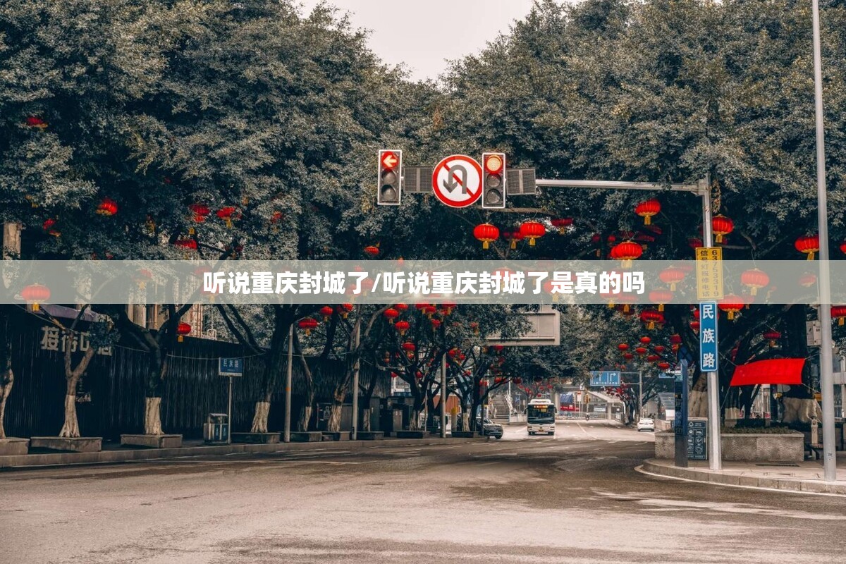 听说重庆封城了/听说重庆封城了是真的吗