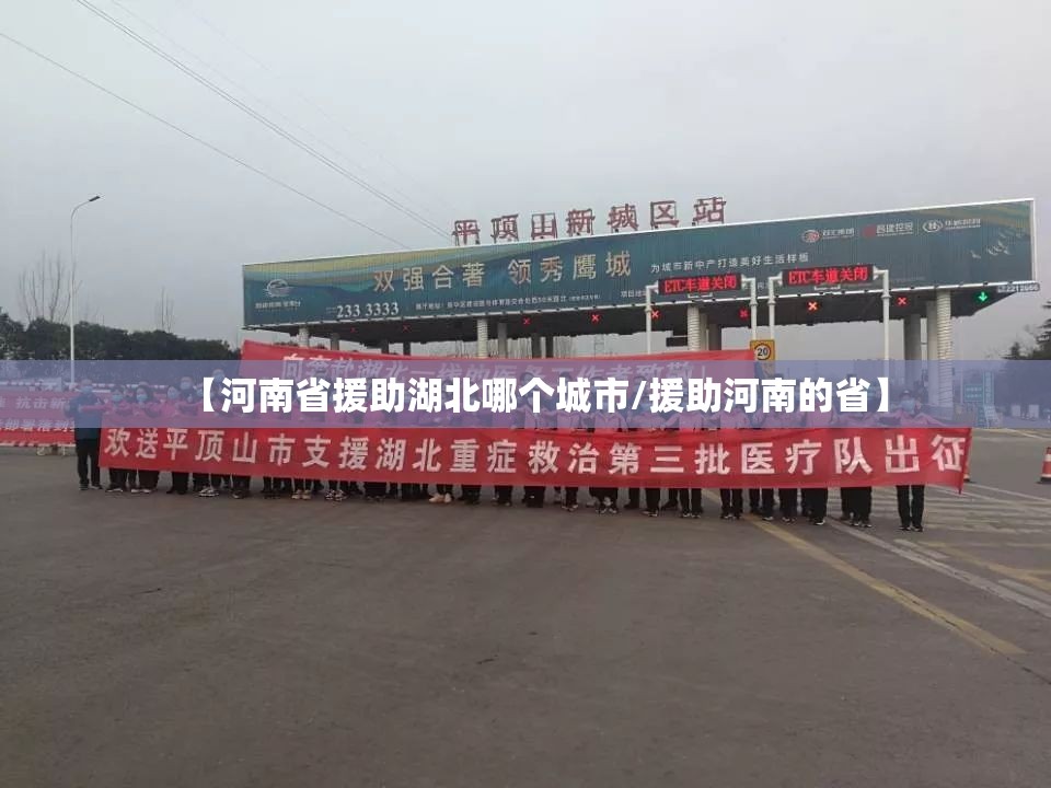 【河南省援助湖北哪个城市/援助河南的省】