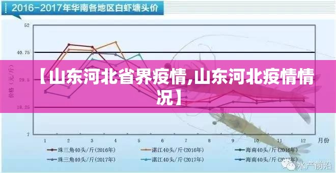 【山东河北省界疫情,山东河北疫情情况】