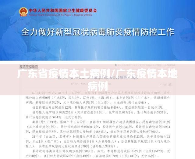 广东省疫情本土病例/广东疫情本地病例