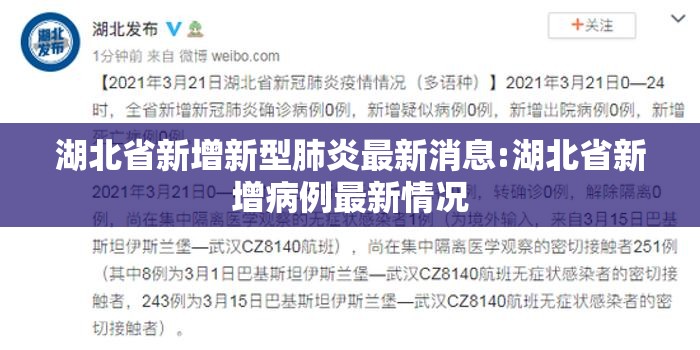 湖北省新增新型肺炎最新消息:湖北省新增病例最新情况