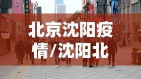 北京沈阳疫情/沈阳北行疫情