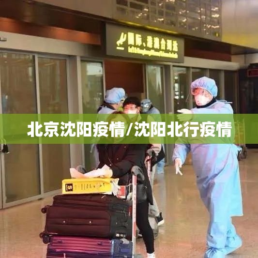 北京沈阳疫情/沈阳北行疫情