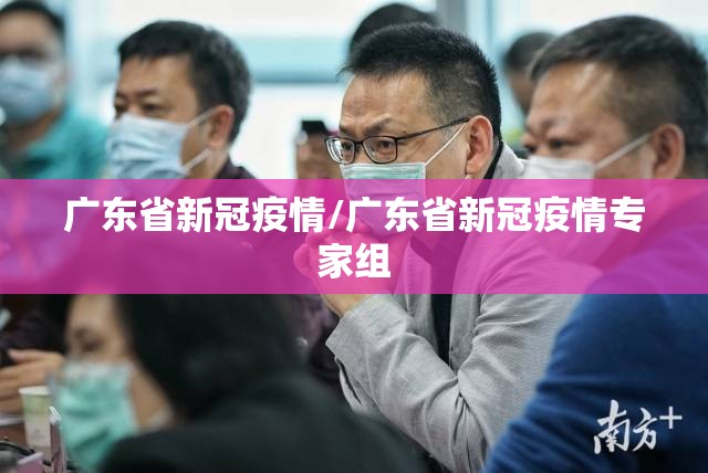 广东省新冠疫情/广东省新冠疫情专家组
