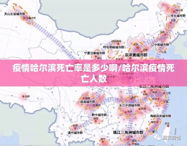 疫情哈尔滨死亡率是多少啊/哈尔滨疫情死亡人数