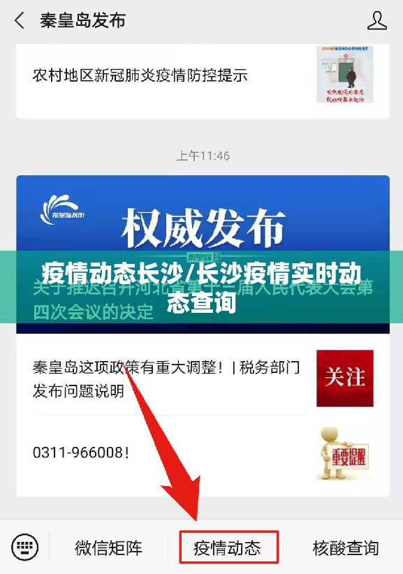 疫情动态长沙/长沙疫情实时动态查询
