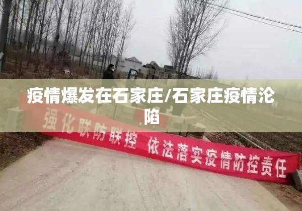 疫情爆发在石家庄/石家庄疫情沦陷