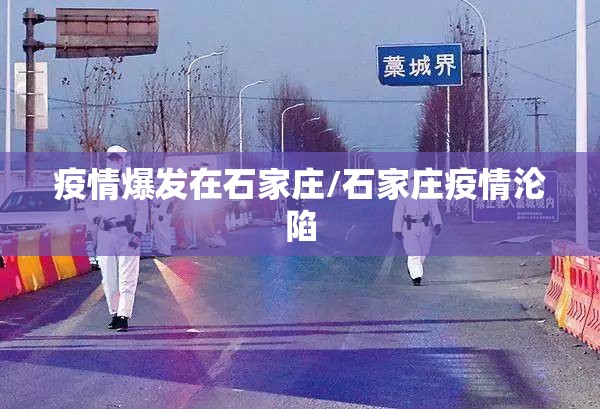 疫情爆发在石家庄/石家庄疫情沦陷
