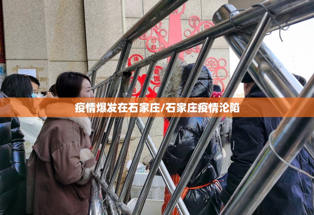 疫情爆发在石家庄/石家庄疫情沦陷