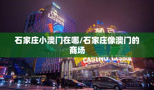 石家庄小澳门在哪/石家庄像澳门的商场