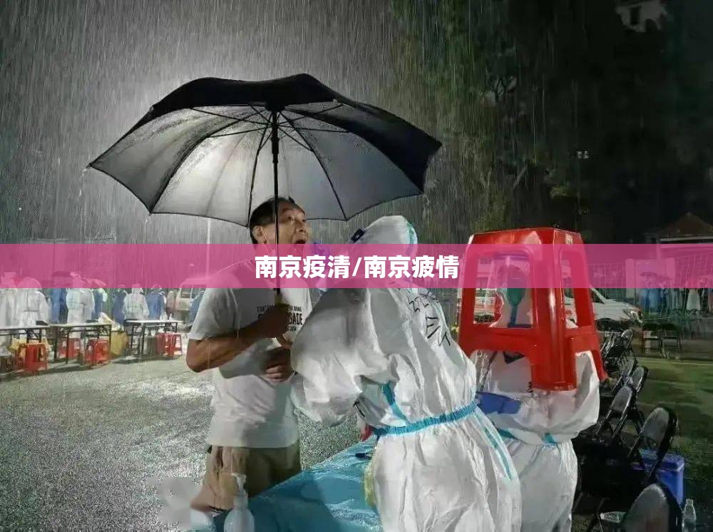 南京疫清/南京疲情