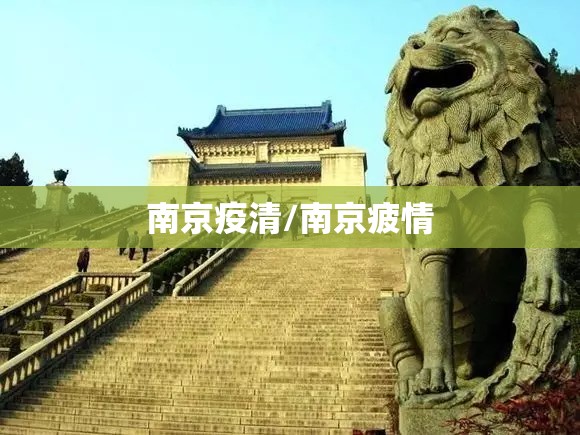 南京疫清/南京疲情