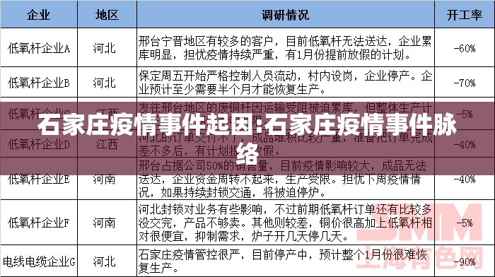 石家庄疫情事件起因:石家庄疫情事件脉络