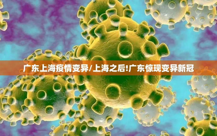 广东上海疫情变异/上海之后!广东惊现变异新冠