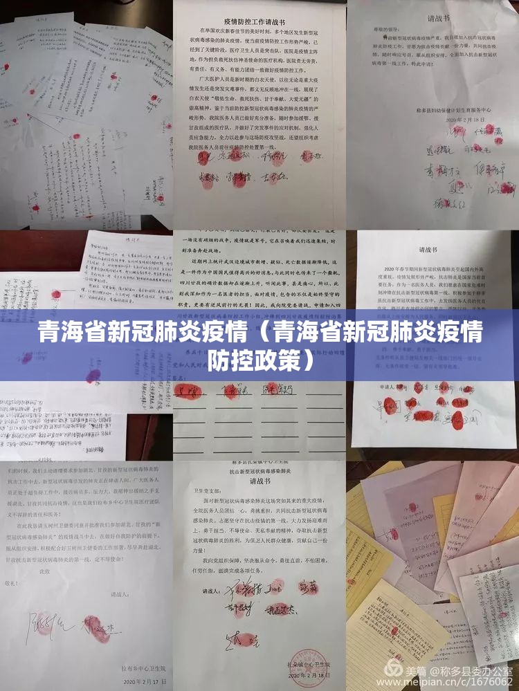 青海省新冠肺炎疫情（青海省新冠肺炎疫情防控政策）