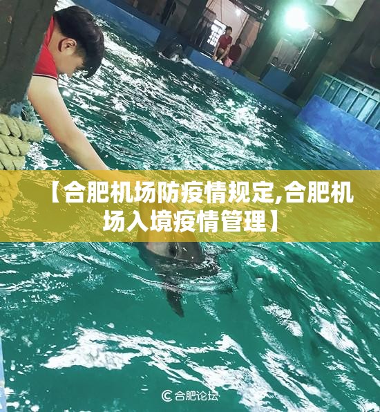 【合肥机场防疫情规定,合肥机场入境疫情管理】