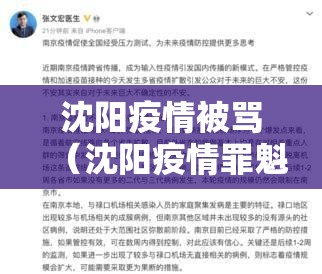 沈阳疫情被骂（沈阳疫情罪魁祸首）