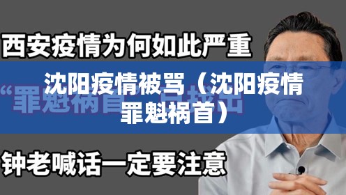沈阳疫情被骂（沈阳疫情罪魁祸首）
