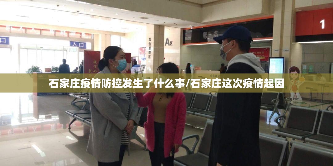石家庄疫情防控发生了什么事/石家庄这次疫情起因