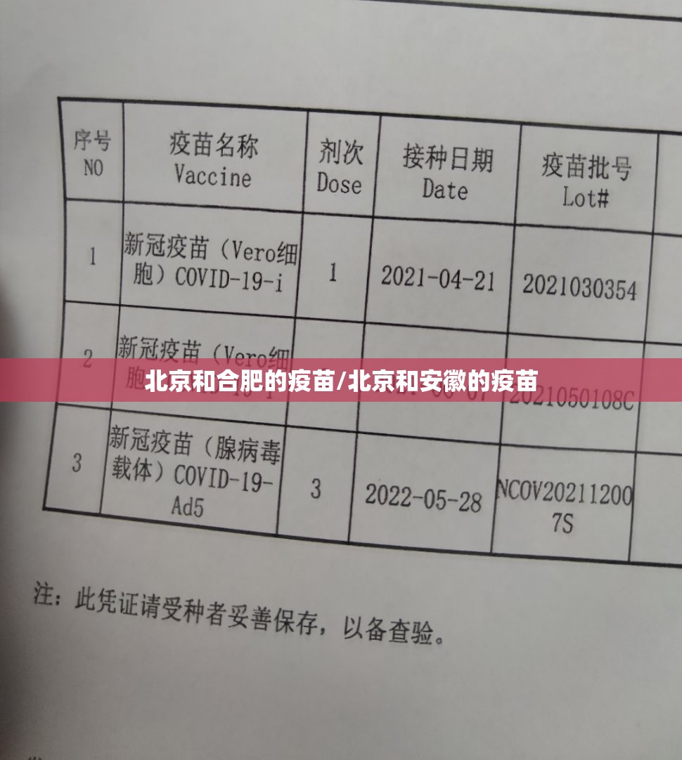 北京和合肥的疫苗/北京和安徽的疫苗