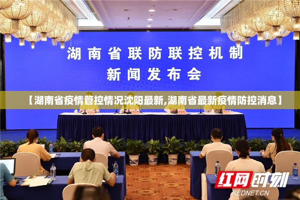 【湖南省疫情管控情况沈阳最新,湖南省最新疫情防控消息】