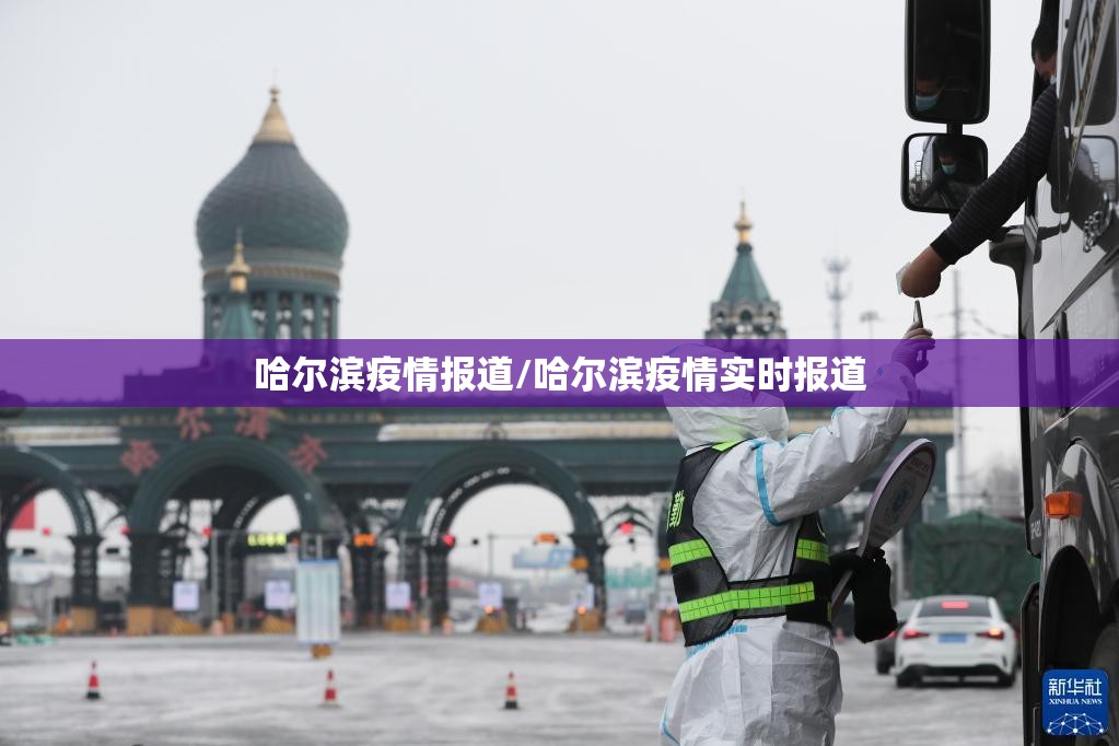 哈尔滨疫情报道/哈尔滨疫情实时报道