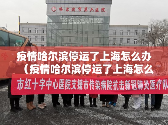 疫情哈尔滨停运了上海怎么办（疫情哈尔滨停运了上海怎么办呢）