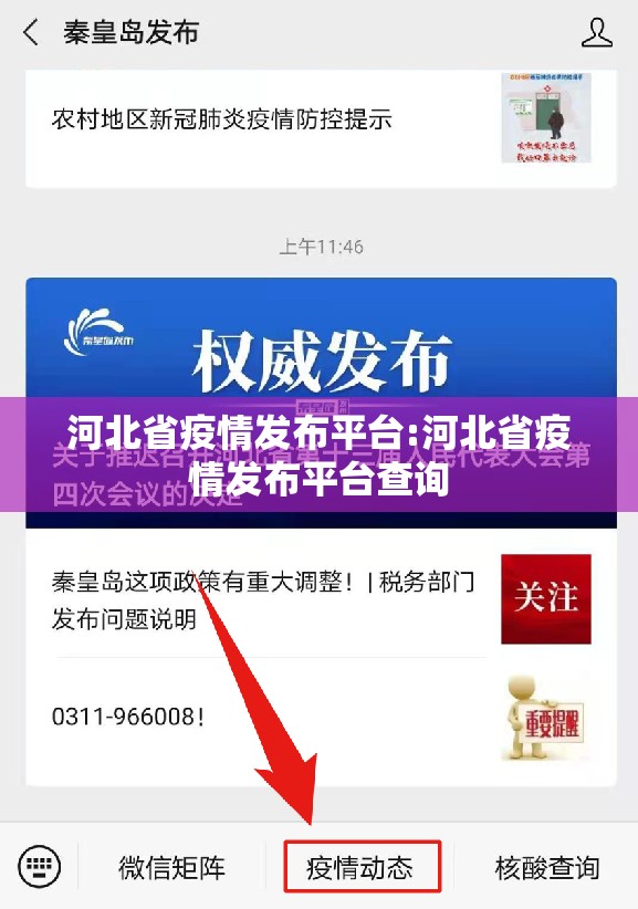 河北省疫情发布平台:河北省疫情发布平台查询