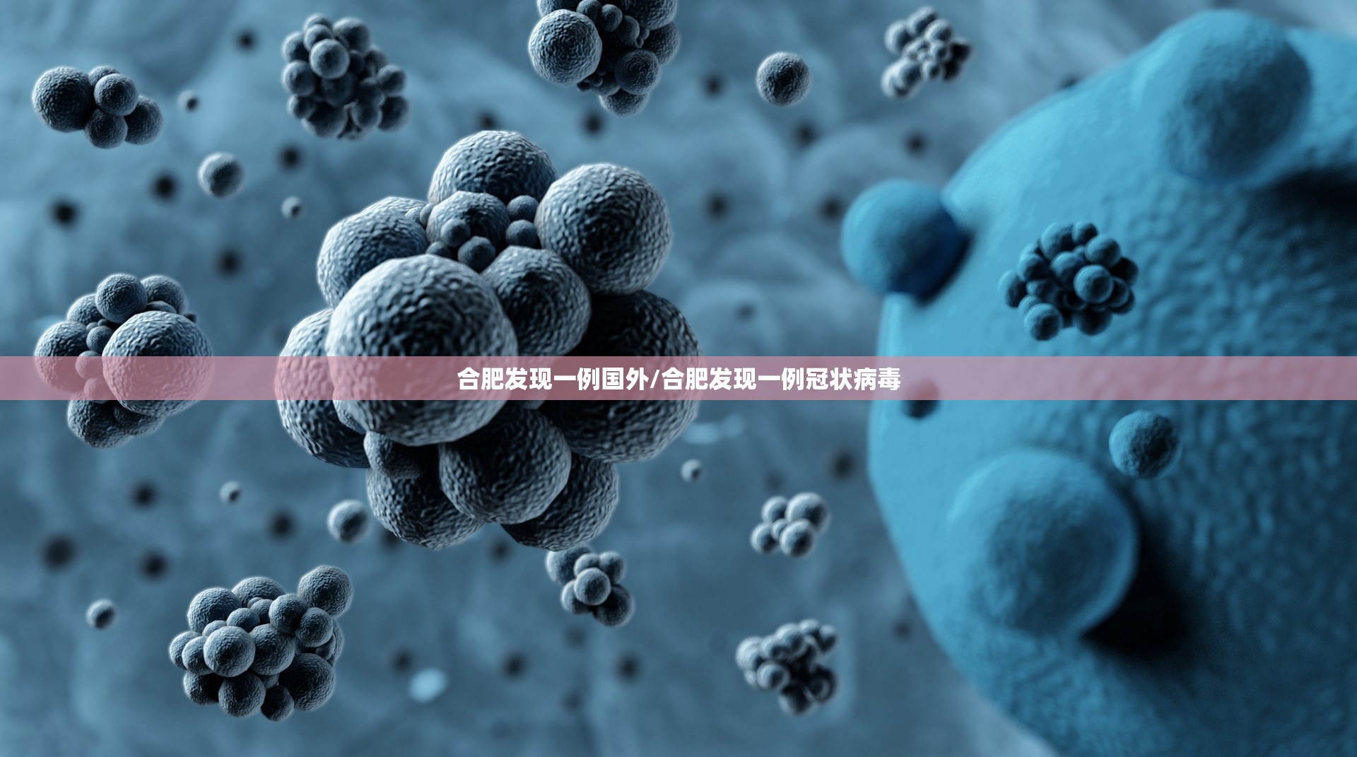 合肥发现一例国外/合肥发现一例冠状病毒