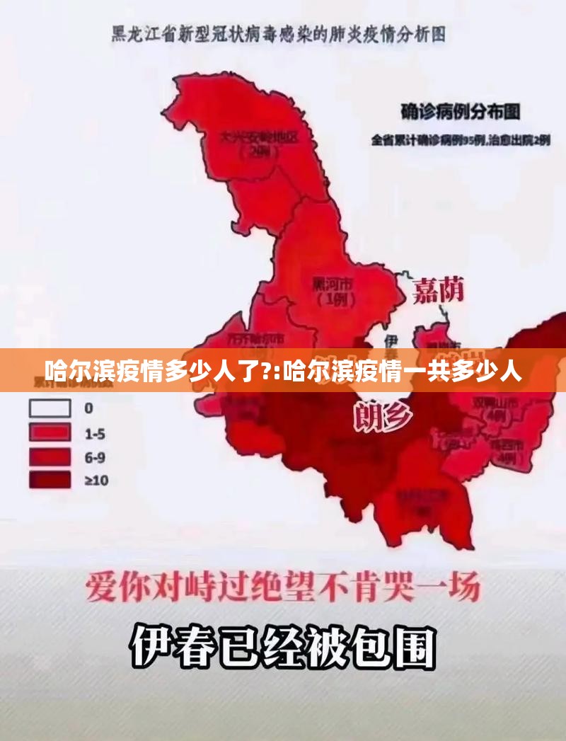 哈尔滨疫情多少人了?:哈尔滨疫情一共多少人