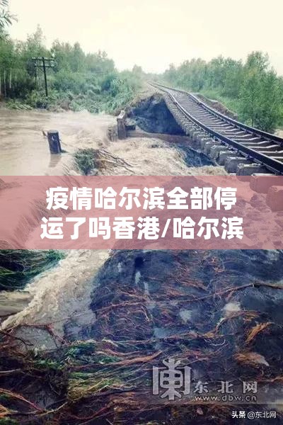 疫情哈尔滨全部停运了吗香港/哈尔滨暂停易引发疫情传播的场所和活动