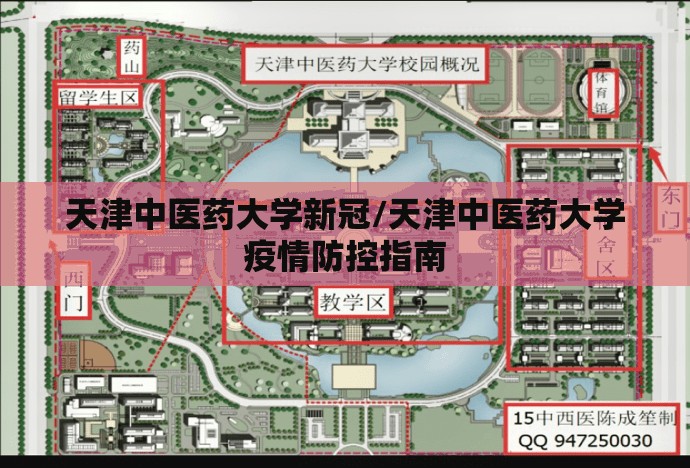 天津中医药大学新冠/天津中医药大学疫情防控指南