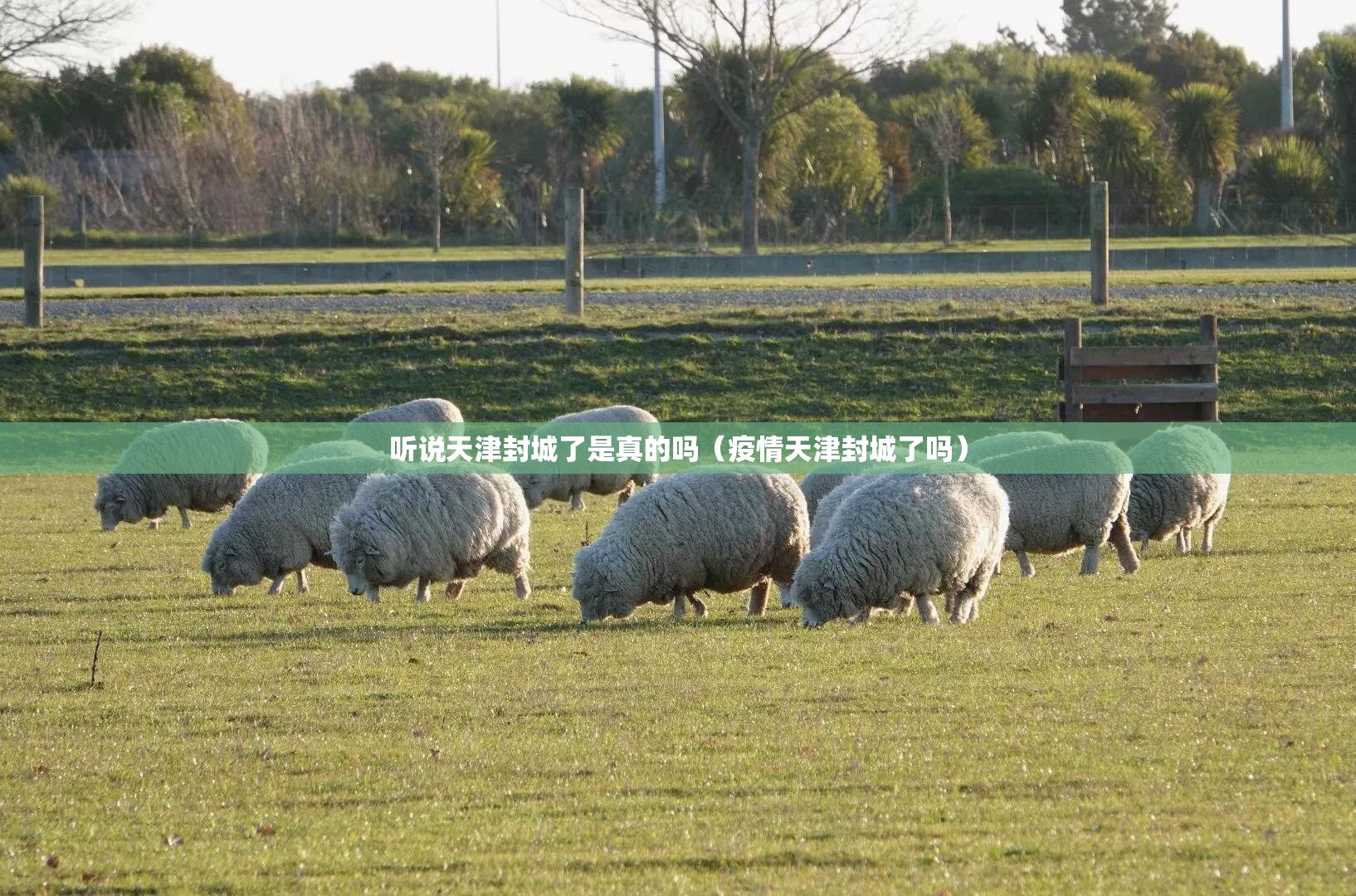 听说天津封城了是真的吗（疫情天津封城了吗）