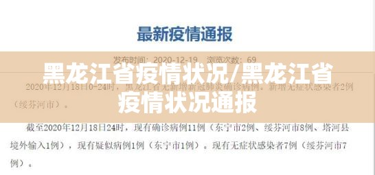 黑龙江省疫情状况/黑龙江省疫情状况通报
