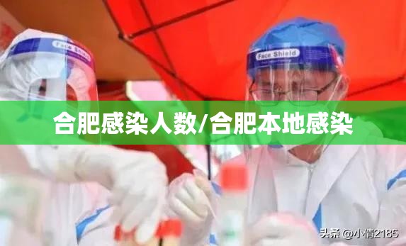 合肥感染人数/合肥本地感染
