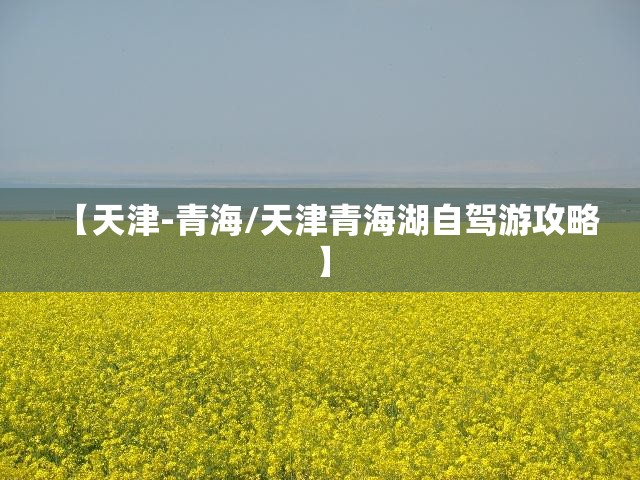 【天津-青海/天津青海湖自驾游攻略】