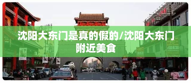沈阳大东门是真的假的/沈阳大东门附近美食