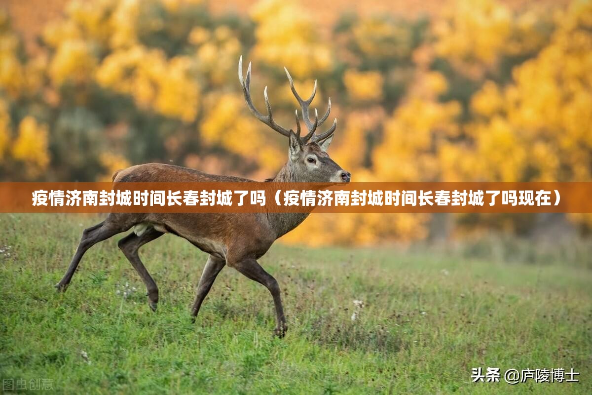 疫情济南封城时间长春封城了吗（疫情济南封城时间长春封城了吗现在）
