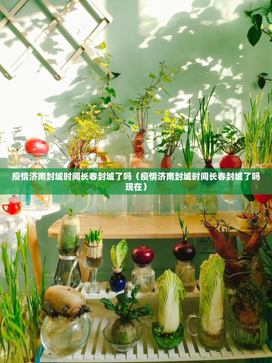 疫情济南封城时间长春封城了吗（疫情济南封城时间长春封城了吗现在）