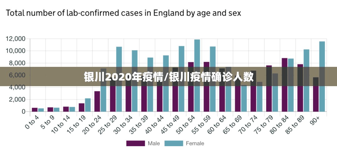 银川2020年疫情/银川疫情确诊人数