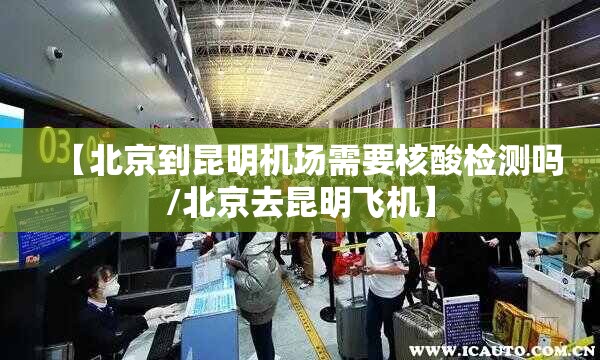 【北京到昆明机场需要核酸检测吗/北京去昆明飞机】