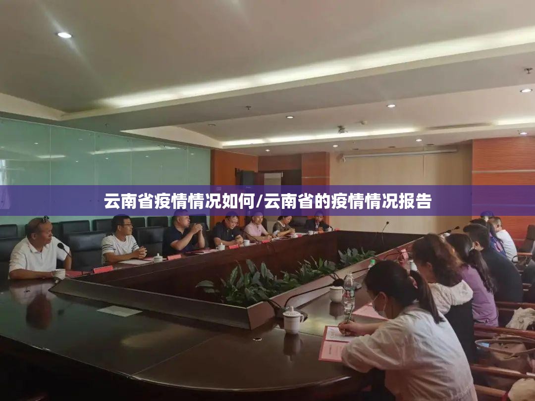 云南省疫情情况如何/云南省的疫情情况报告
