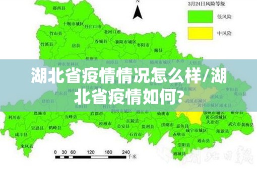 湖北省疫情情况怎么样/湖北省疫情如何?