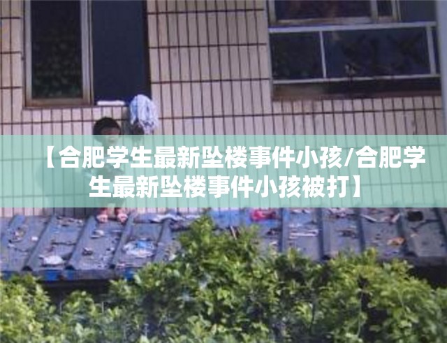 【合肥学生最新坠楼事件小孩/合肥学生最新坠楼事件小孩被打】