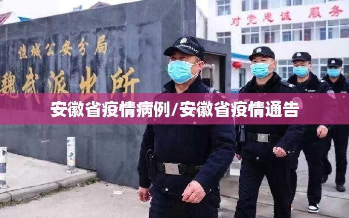 安徽省疫情病例/安徽省疫情通告