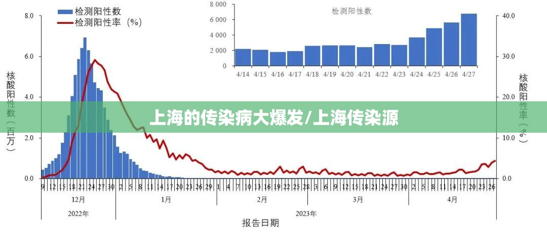 上海的传染病大爆发/上海传染源