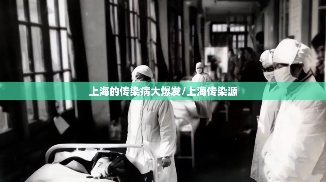 上海的传染病大爆发/上海传染源