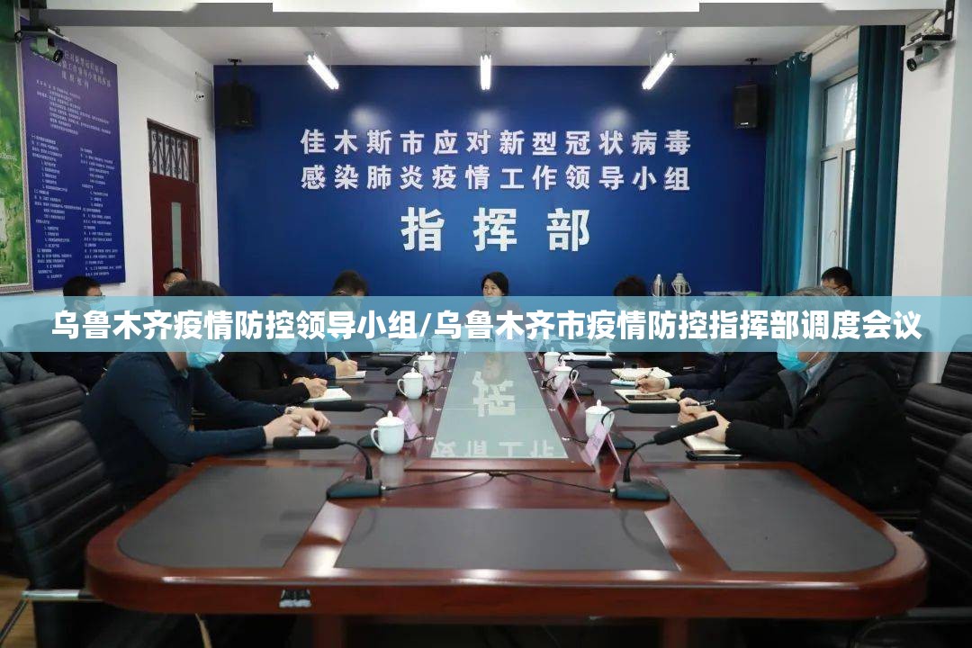 乌鲁木齐疫情防控领导小组/乌鲁木齐市疫情防控指挥部调度会议
